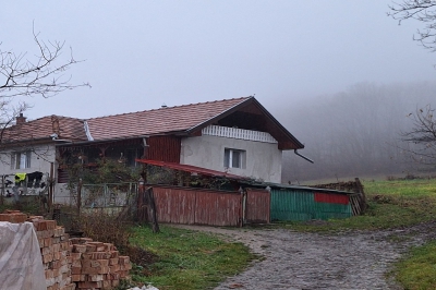 Foto uit het fotoalbum: AP-Children